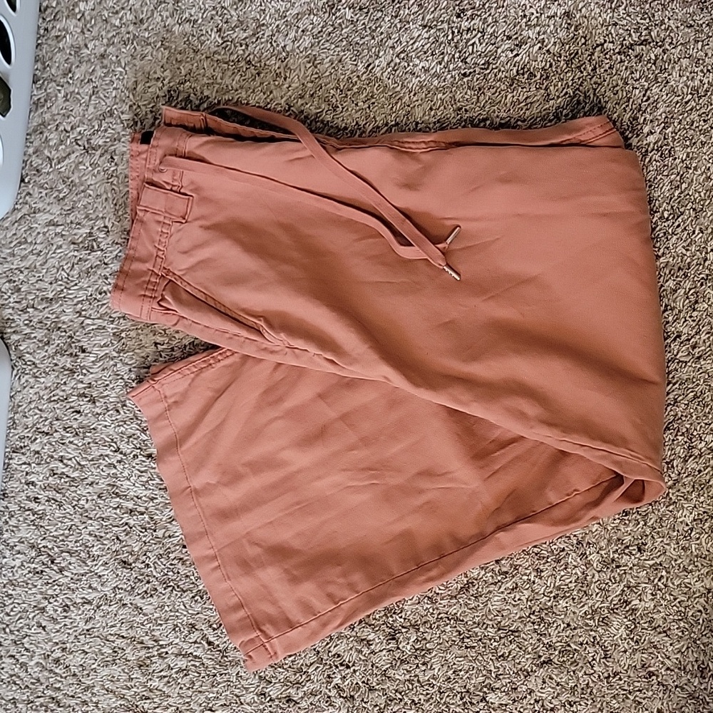 Hudson wide leg drawstring pants size 29 salmon color.  High waisted